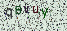 Visual Confirmation Security Code