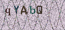 Visual Confirmation Security Code