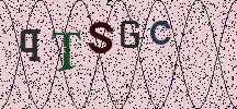 Visual Confirmation Security Code
