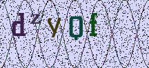 Visual Confirmation Security Code