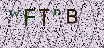 Visual Confirmation Security Code