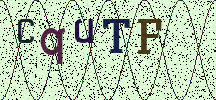 Visual Confirmation Security Code