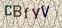 Visual Confirmation Security Code