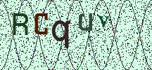 Visual Confirmation Security Code