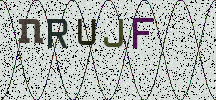 Visual Confirmation Security Code
