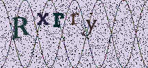 Visual Confirmation Security Code