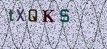 Visual Confirmation Security Code