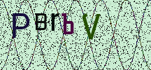Visual Confirmation Security Code