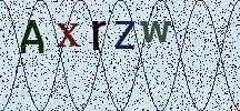 Visual Confirmation Security Code
